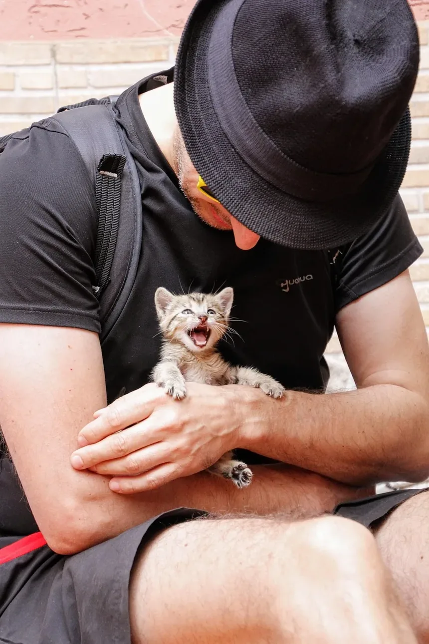 Tratamento de Conjuntivite em Olhos de Gato Sem Receita