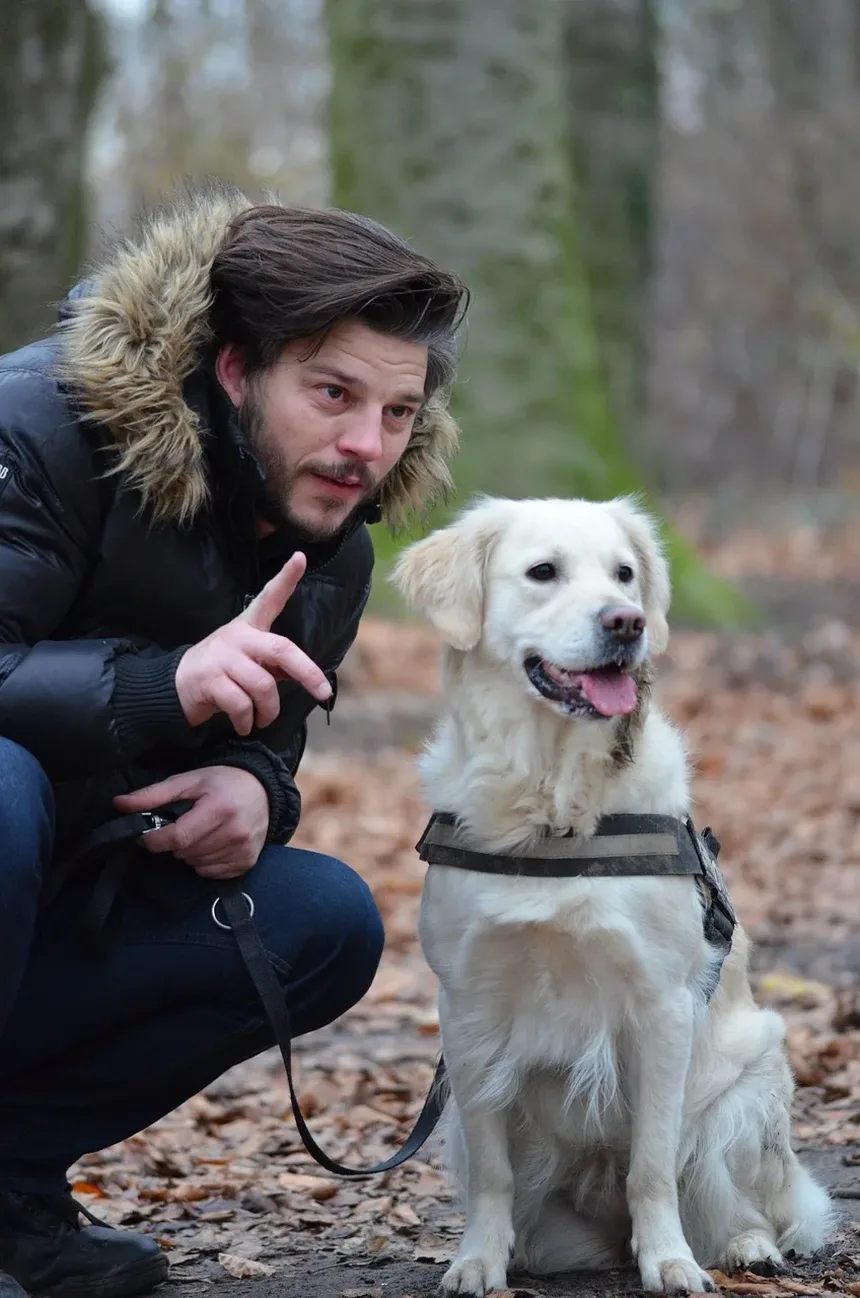 Formas de Prevenir Vermes em Cães: Um Guia Completo
